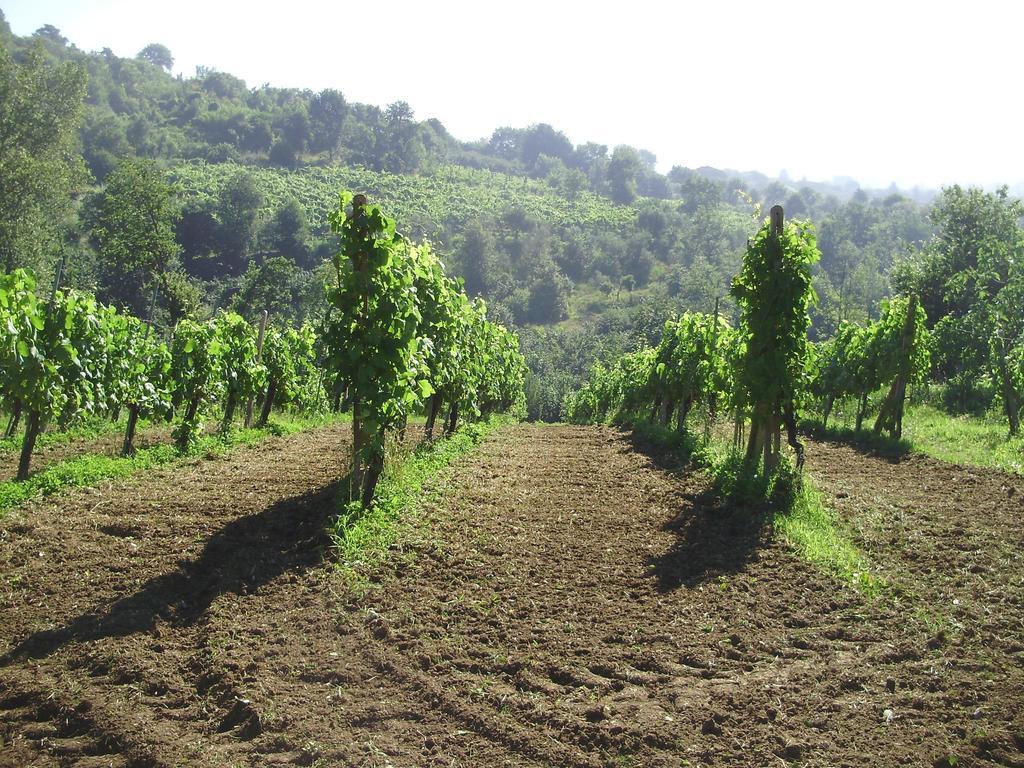 Tenuta Montelaura Forino Exterior foto