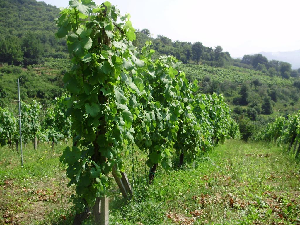 Tenuta Montelaura Forino Exterior foto
